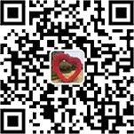手機(jī)網(wǎng)站二維碼